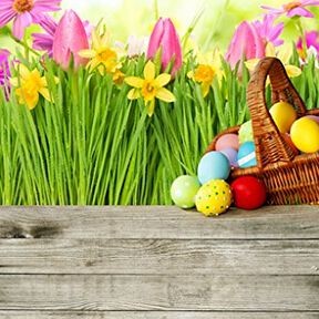 Photography Backdrops Eggs Pink Tulip Easter Wood Floor Background