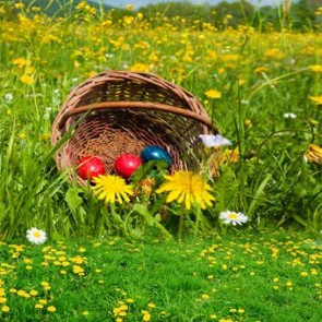 Photography Backdrops Yellow Flowers Eggs Easter Background For Photo Studio