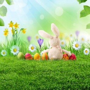 Photography Background Eggs Bunny Easter White Flowers Sunshine Backdrops