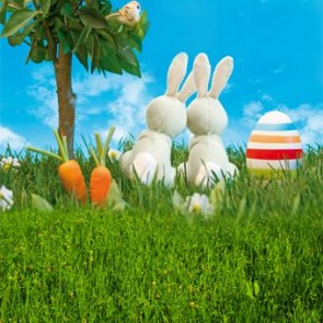 Photography Background Blue Sky White Bunny Eggs Easter Grass Backdrops