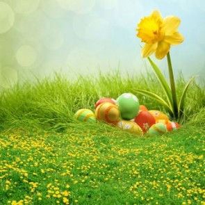 Photography Background Eggs Yellow Flowers Easter Grass Backdrops