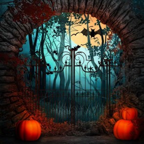 Photography Background Cemetery Pumpkin Bat Halloween Backdrops