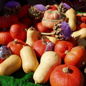 Thanksgiving Day Photography Backdrops Purple Flowers Pumpkin Background