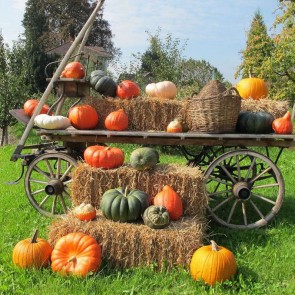 Thanksgiving Day Photography Backdrops Pumpkin Trolley Lawn Background