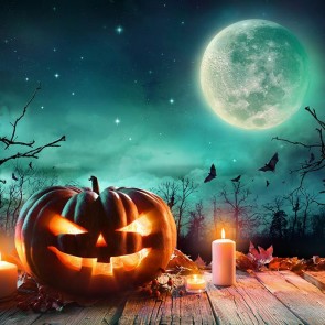 Photography Background Pumpkin Lantern Moon Bat Halloween Backdrops