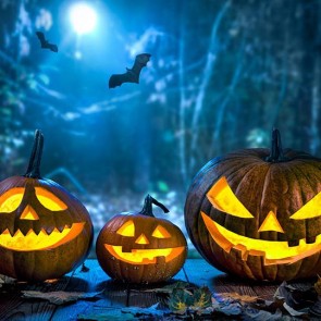 Photography Background Pumpkin Lantern Bat Spider Web Halloween Backdrops