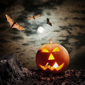 Photography Backdrops Bat Pumpkin Lamp Stake Halloween Background