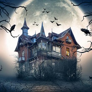 Halloween Photography Background Castle Crow Bat Night Backdrops