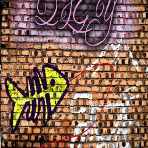 Graffiti Photography Backdrops Fish Bone Bike Brick Wall Background For Photo Studio