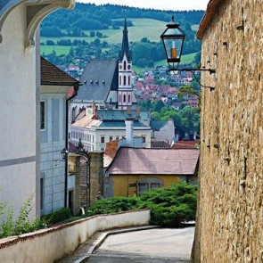 Street View Photography Background Hillside Village Town Backdrops