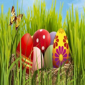 Photography Background Blue Sky Eggs Easter Butterfly Grass Backdrops