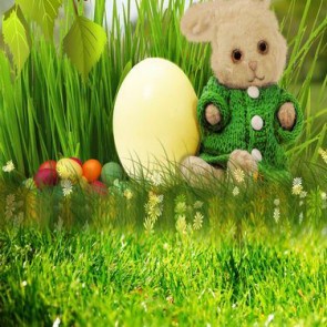Photography Background Bunny Eggs Grass Easter Sunshine Backdrops
