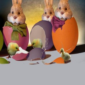Photography Background Eggs Brown Bunny Easter Backdrops For Photo Studio