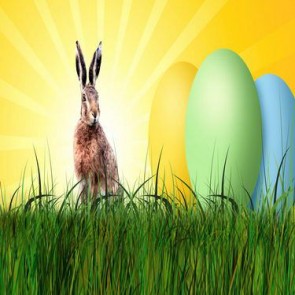 Photography Background Eggs Brown Bunny Grass Easter Backdrops