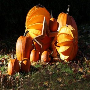 Thanksgiving Day Photography Backdrops Pumpkin Grassland Background