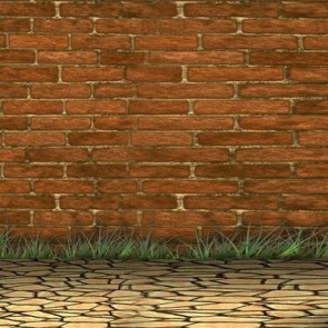 Brick Wall Photography Background Grass Dried Mud Backdrops