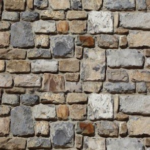 Brick Wall Photography Background Stone Backdrops For Photo Studio