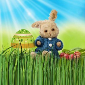 Photography Background Sunshine Eggs Brown Bunny Grass Easter Backdrops