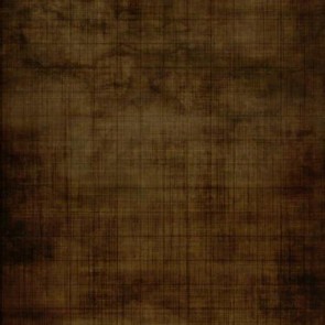 Photography Backdrops Brown Smog And Checked Lines Old Master Background