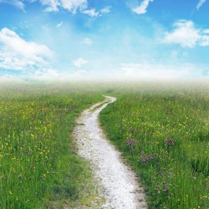 Nature Photography Backdrops Roadside Flowers Grass Blue Sky Background