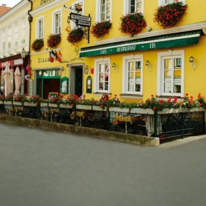 Photography Background Bar Red Flowers Street View Backdrops