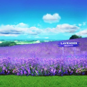 Nature Photography Backdrops Lavender Grassland Blue Sky Background