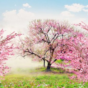 Flowers Photography Background Pink Peach Blossom Cartoon Backdrops