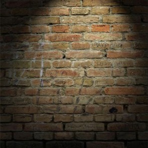 White Lighting Old Brick Wall Photography Background Backdrops