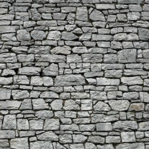 Brick Wall Photography Background Silvery White Stone Backdrops