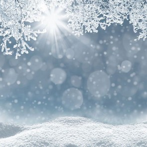 Nature Photography Backdrops Snowflakes Snowdrifts Sunlight Cloudy Background