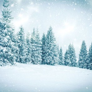 Nature Photography Backdrops Snowy Snowflakes Pine Forest Background