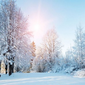Nature Photography Backdrops Snow Jungle Sunny Day Background For Photo Studio