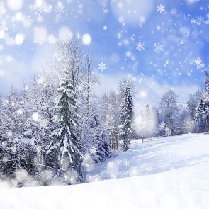 Nature Photography Backdrops Snowflake Snow Plains Blue Sky Background
