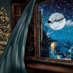 Christmas Photography Backdrops Window Snowflakes Christmas Tree Background