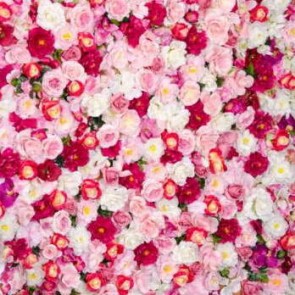 Flowers Photography Background White Red Roses Flower Wall Backdrops