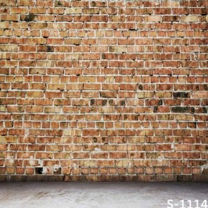 Photography Background Pink Grey Brick Wall Silver Floor Backdrops