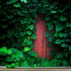 Door Window Photography Backdrops Dilapidated Door Ivy Background