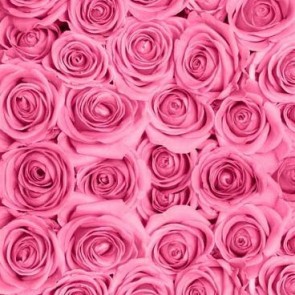 Photography Background Flower Wall Pink Rose Backdrops