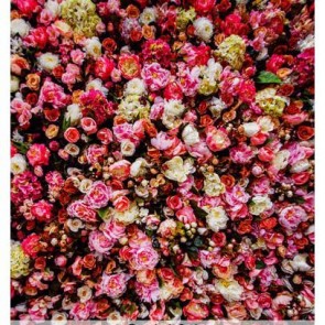 Photography Background Pink Red Roses Flower Wall Backdrops