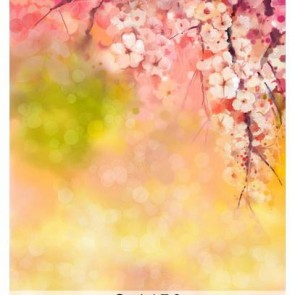 Photography Background White Cherry Blossom Flowers Fuzzy Backdrops