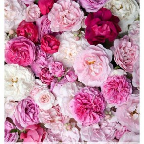 Photography Background Peony Flower Wall Backdrops