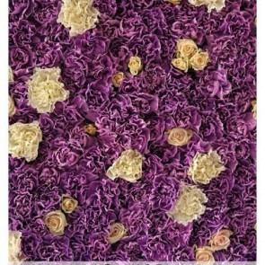 Photography Background Purple Petals Flower Wall Backdrops