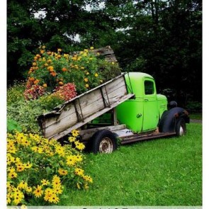 Photography Backdrops Yellow Flowers Green Truck Car Background