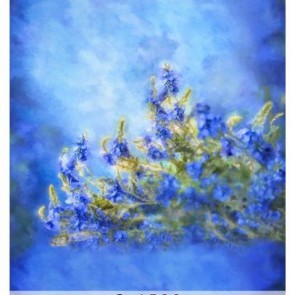 Photography Background Lavender Oil Painting Blue Backdrops