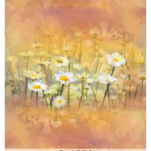 Photography Background White Flowers Oil Painting Fuzzy Backdrops