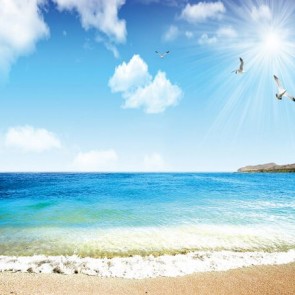 Photography Backdrops Seagulls Sunshine Beach Background
