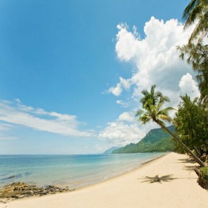 Photography Backdrops Coconut Tree Island Background For Photo Studio