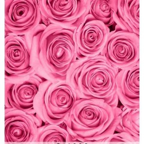 Photography Background Pink Rose Flower Wall Backdrops