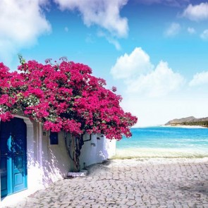 Photography Background Beach Tourist Red Flowers Blue Door Backdrops