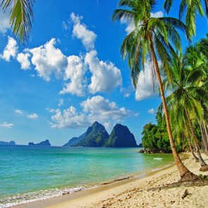 Photography Backdrops Coconut Tree Seaside Blue sky Beach Background